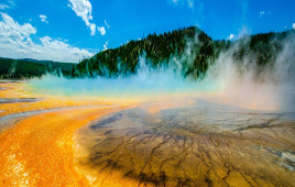 Embark on a Yellowstone Adventure of a Lifetime!