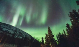 Explore Yukon: Wildlife, Snowmobiles & Hot Springs