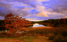 Circle Newfoundland & Labrador: Adventure & Discovery Awaits